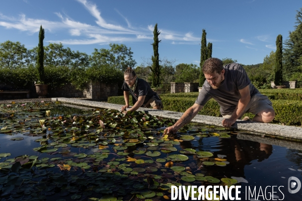 Apprentissage jardinier paysagiste chez les compagnons du devoir et du tour de france