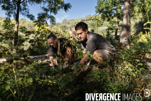 Apprentissage jardinier paysagiste chez les compagnons du devoir et du tour de france