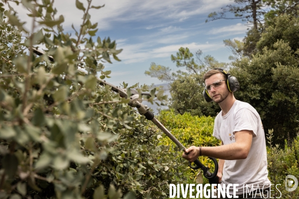 Apprentissage jardinier paysagiste chez les compagnons du devoir et du tour de france