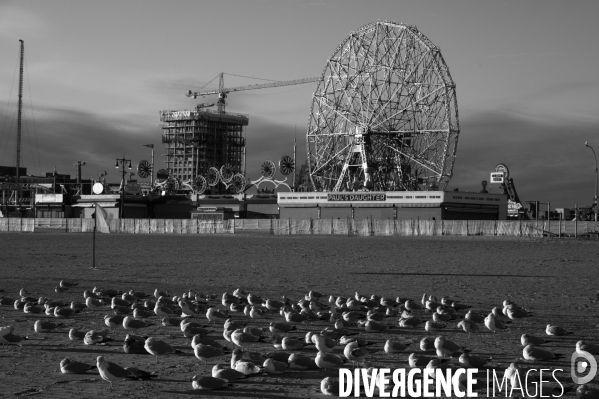 Coney Island. New York.