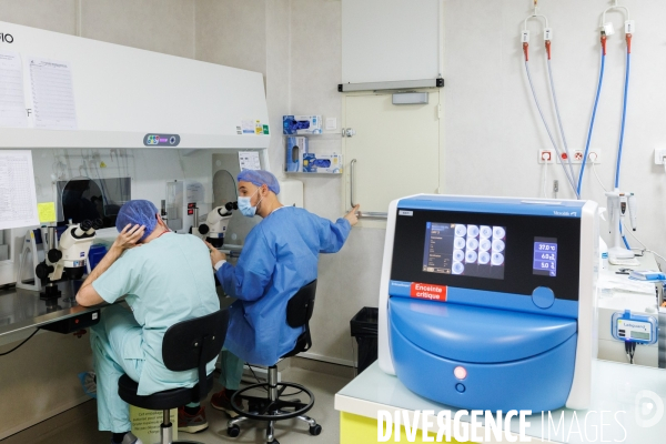 Laboratoire de diagnostic préimplantatoire