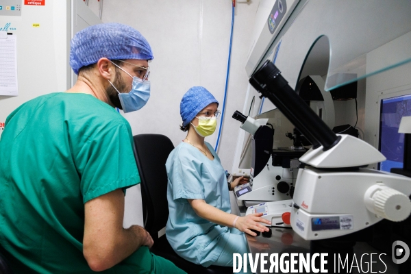 Laboratoire de diagnostic préimplantatoire