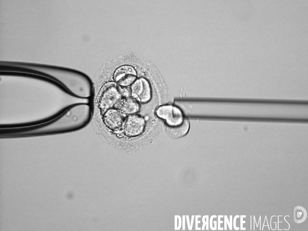 Laboratoire de diagnostic préimplantatoire