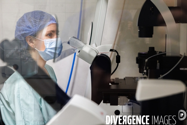 Laboratoire de diagnostic préimplantatoire
