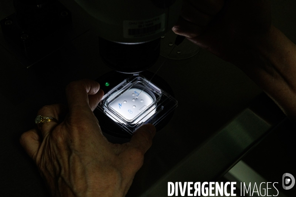 Laboratoire de diagnostic préimplantatoire