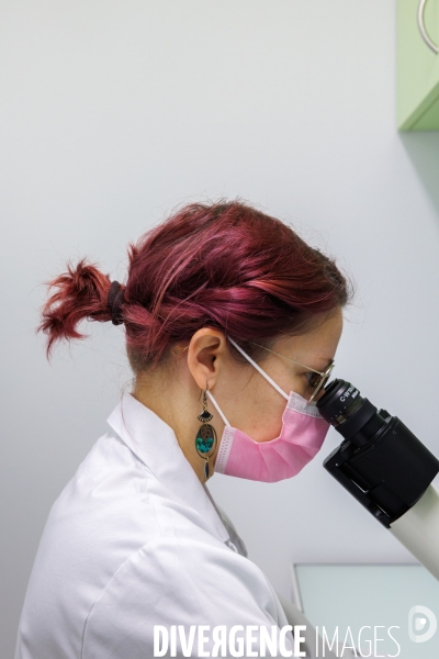 Laboratoire de diagnostic préimplantatoire