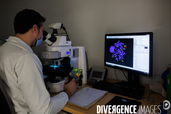 Laboratoire de diagnostic préimplantatoire