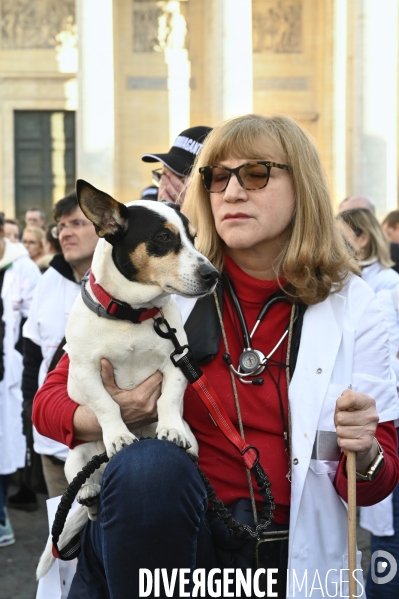 Manifestation des médecins contre la loi RIST, et pour demander une augmentation du prix de la consultation . Demonstration of doctors in Paris.