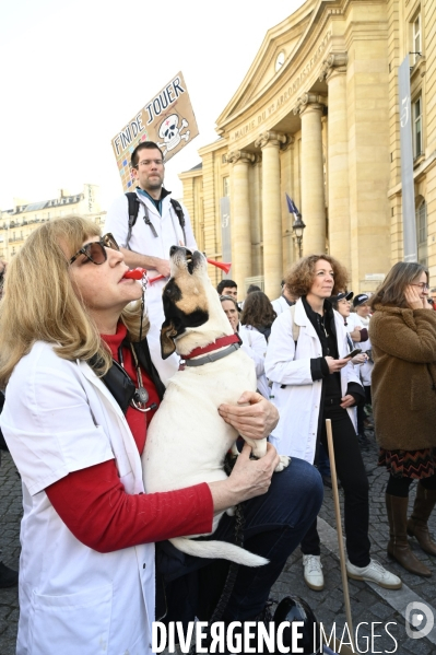 Manifestation des médecins contre la loi RIST, et pour demander une augmentation du prix de la consultation . Demonstration of doctors in Paris.