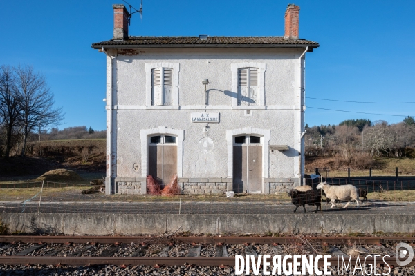 Train. La ligne abandonnée entre Ussel Clermont.