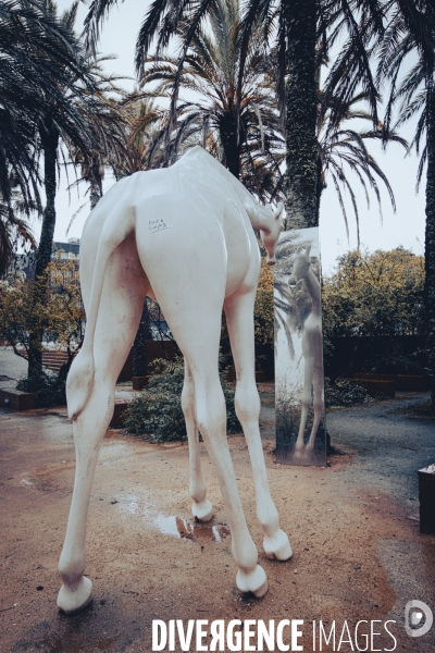 Oceanario de Lisboa