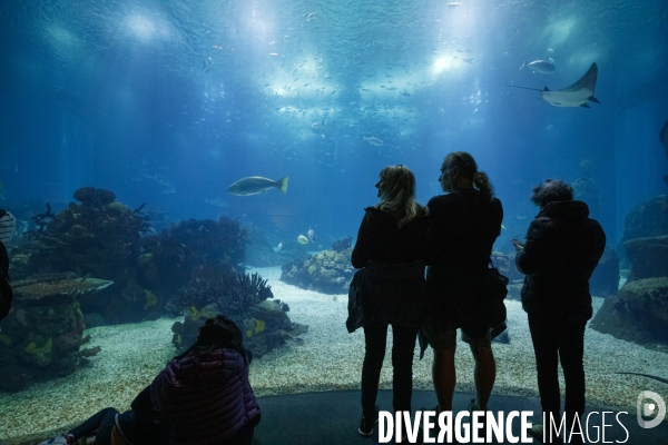 Oceanario de Lisboa