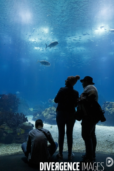 Oceanario de Lisboa