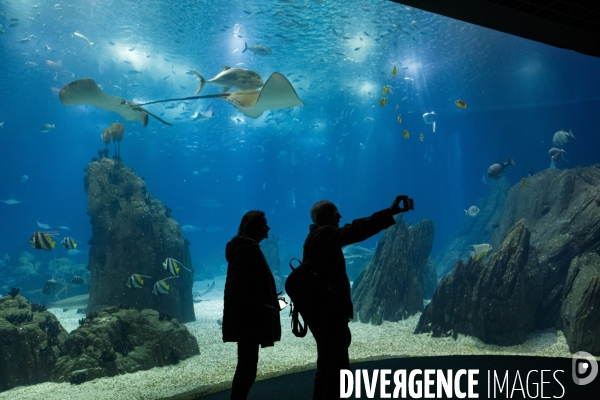 Oceanario de Lisboa