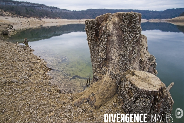 Secheresse hivernale dans le Jura