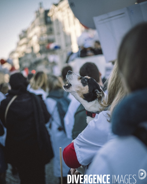 Manifestation de médecins libéraux