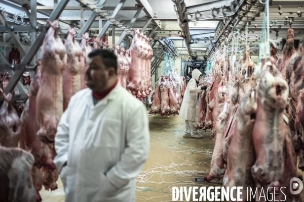 Emmanuel Macron visite le marché de Rungis.