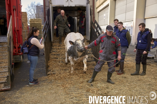 Salon de l agriculture SIA 2023