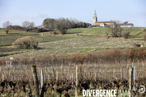 La crise dans les vignobles bordelais