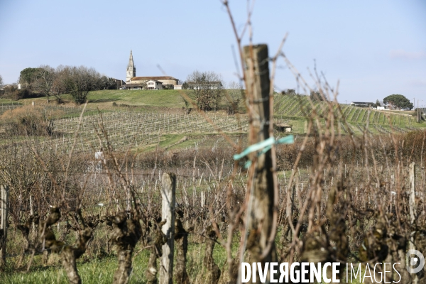 La crise dans les vignobles bordelais