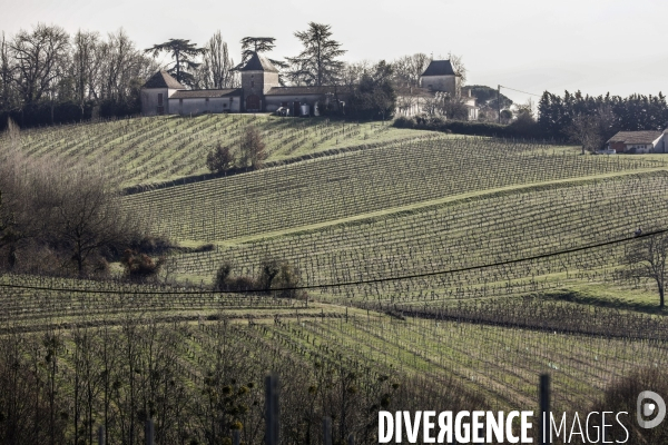 La crise dans les vignobles bordelais