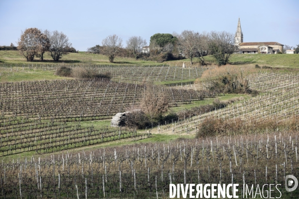 La crise dans les vignobles bordelais