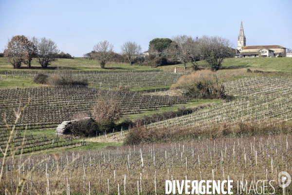 La crise dans les vignobles bordelais