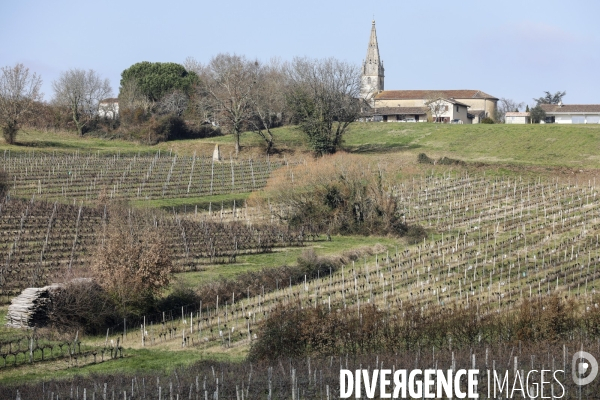 La crise dans les vignobles bordelais