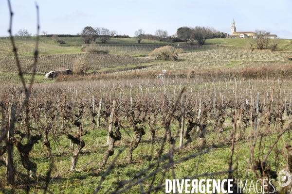 La crise dans les vignobles bordelais