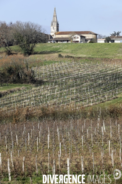 La crise dans les vignobles bordelais