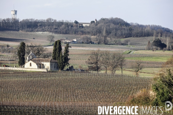 La crise dans les vignobles bordelais