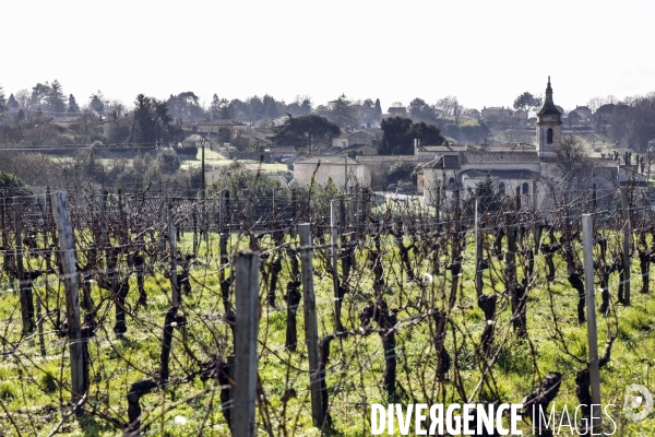 La crise dans les vignobles bordelais