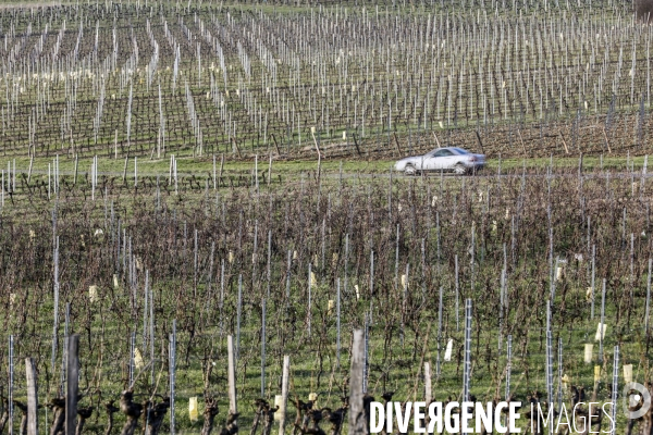 La crise dans les vignobles bordelais