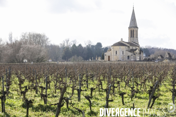 La crise dans les vignobles bordelais