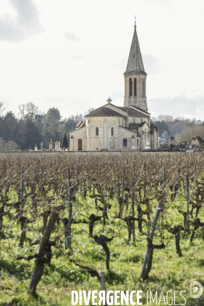 La crise dans les vignobles bordelais