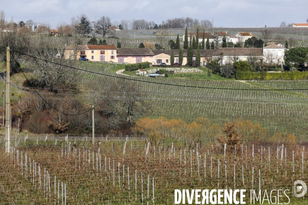 La crise dans les vignobles bordelais