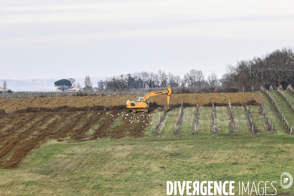 La crise dans les vignobles bordelais