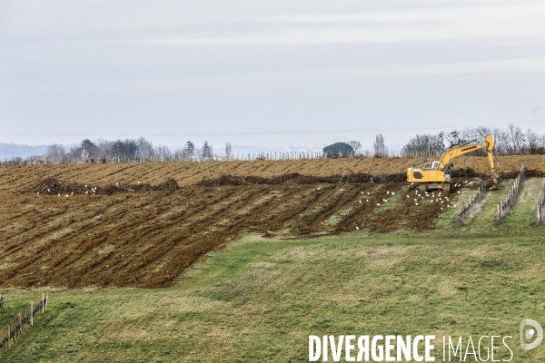 La crise dans les vignobles bordelais