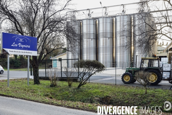 La crise dans les vignobles bordelais