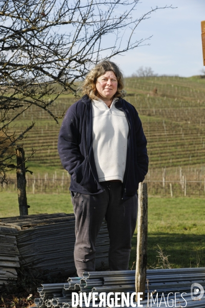 La crise dans les vignobles bordelais