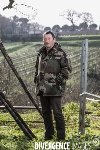 La crise dans les vignobles bordelais