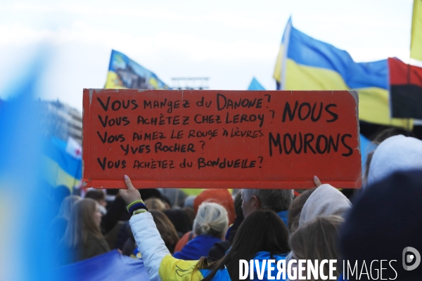 Rassemblement de soutien à l Ukraine