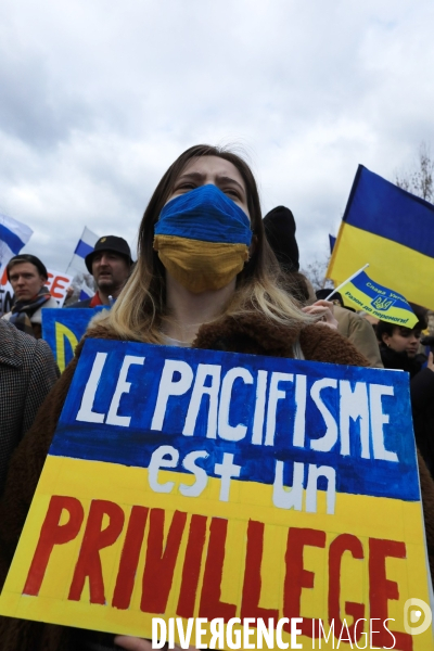 Rassemblement de soutien à l Ukraine