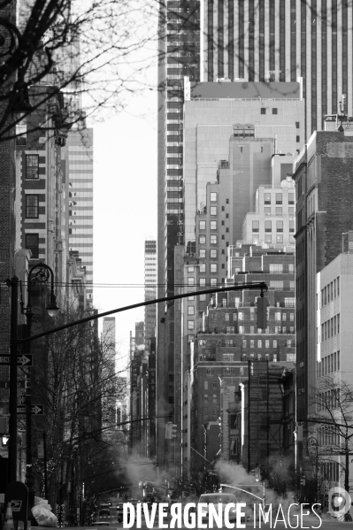 New York USA