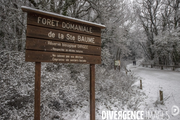 Sainte Baume enneigée