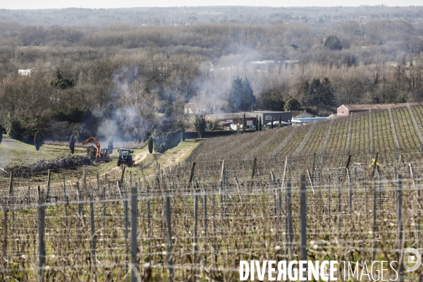 Crise du vin dans le bordelais