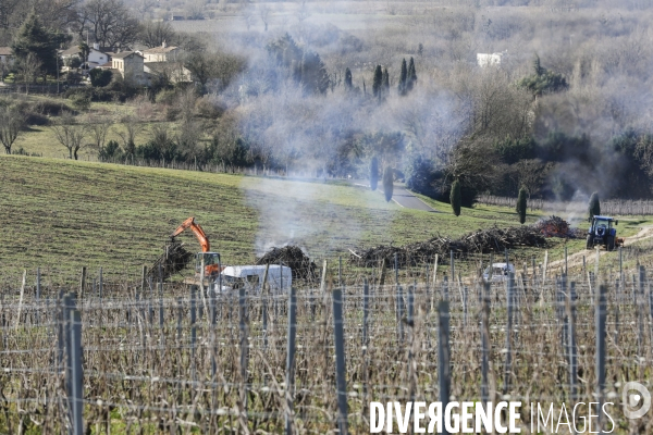 Crise du vin dans le bordelais