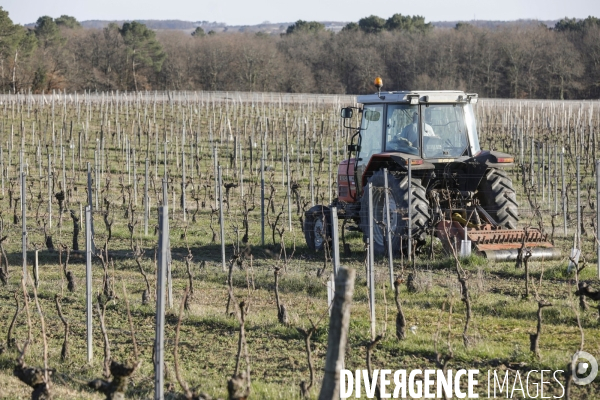 Crise du vin dans le bordelais