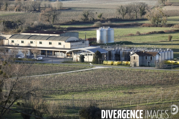 Crise du vin dans le bordelais
