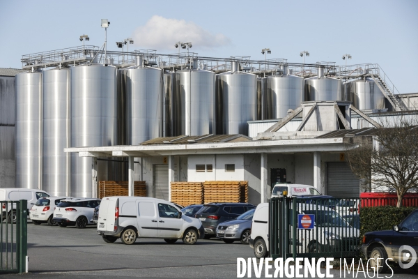 Crise du vin dans le bordelais